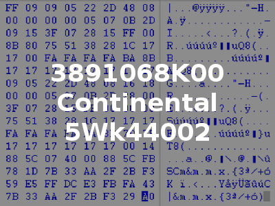 3891068K00 Continental 5Wk44002