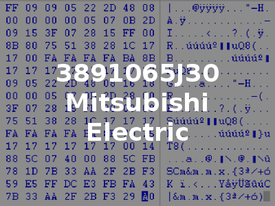 3891065J30 Mitsubishi Electric