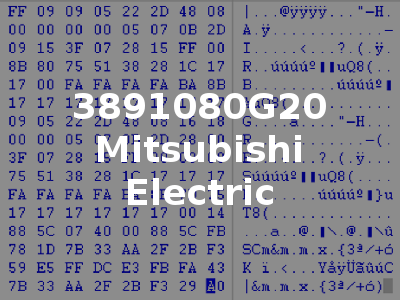 3891080G20 Mitsubishi Electric