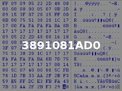 3891081AD0