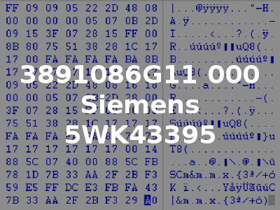 3891086G11 000 Siemens 5WK43395