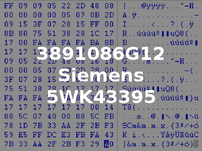 3891086G12 Siemens 5WK43395