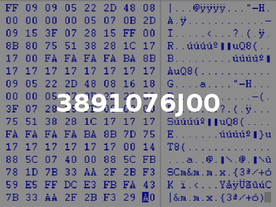 3891076J00
