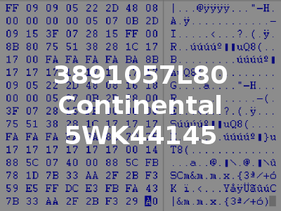 3891057L80 Continental 5WK44145