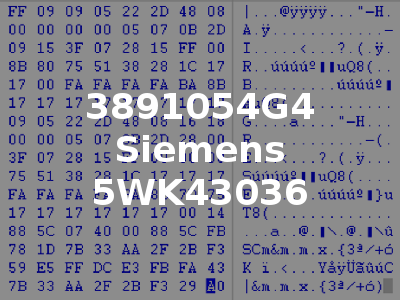 3891054G4 Siemens 5WK43036