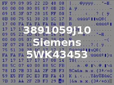 3891059J10 Siemens 5WK43453