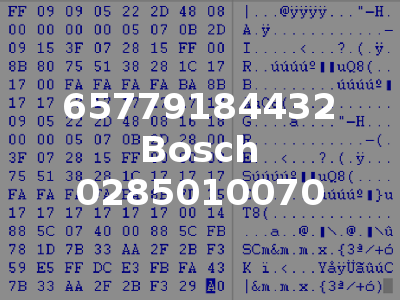 65779184432 Bosch 0285010070