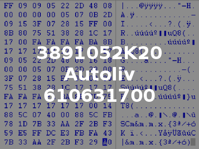 3891052K20 Autoliv 610631700