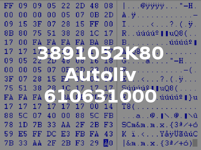 3891052K80 Autoliv 610631000