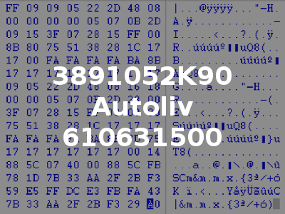 3891052K90 Autoliv 610631500