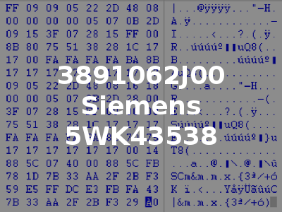 3891062J00 Siemens 5WK43538