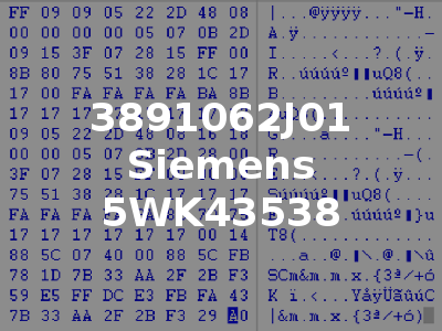 3891062J01 Siemens 5WK43538