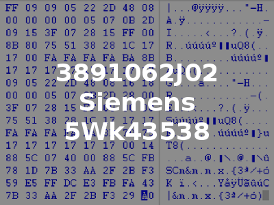 3891062J02 Siemens 5Wk43538