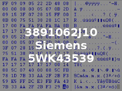 3891062J10 Siemens 5WK43539