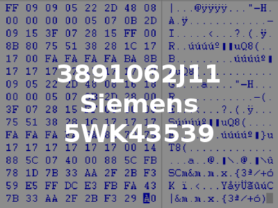 3891062J11 Siemens 5WK43539