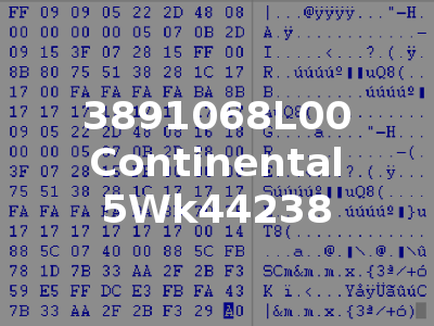 3891068L00 Continental 5Wk44238
