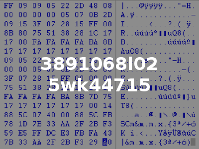 3891068l02 5wk44715