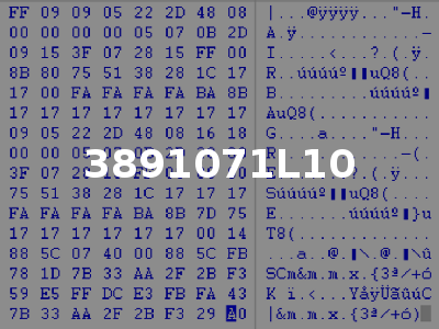 3891071L10