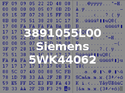 3891055L00 Siemens 5WK44062