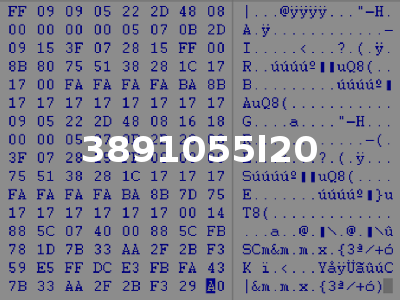 3891055l20
