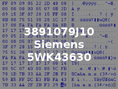 3891079J10 Siemens 5WK43630