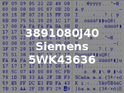 3891080J40 Siemens 5WK43636