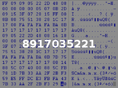 8917035221