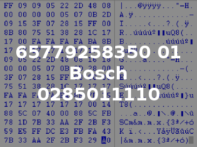 65779258350 01 Bosch 0285011110