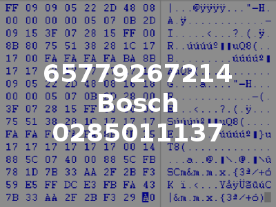65779267214 Bosch 0285011137
