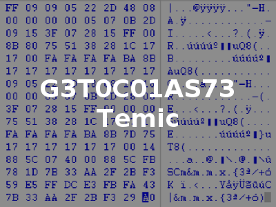 G3T0C01AS73 Temic