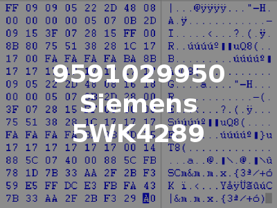 9591029950 Siemens 5WK4289