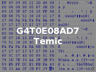 G4T0E08AD7 Temic