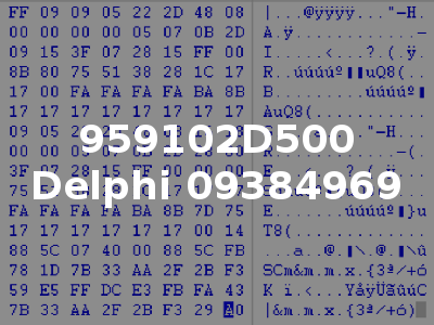 959102D500 Delphi 09384969