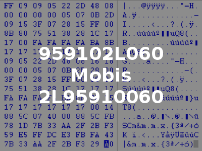 959102L060 Mobis 2L95910060