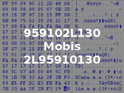 959102L130 Mobis 2L95910130