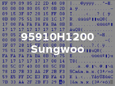 95910H1200 Sungwoo