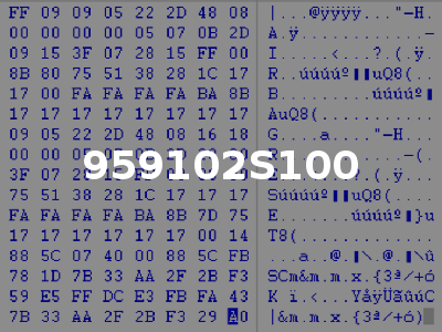 959102S100