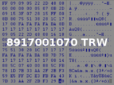 8917001070 TRW