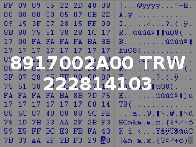 8917002A00 TRW 222814103
