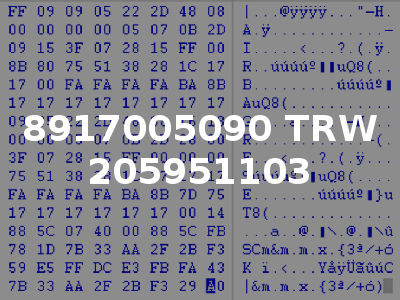 8917005090 TRW 205951103
