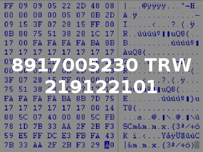 8917005230 TRW 219122101