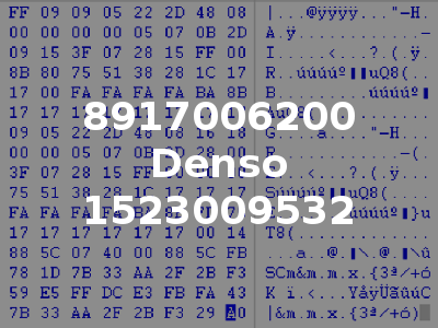 8917006200 Denso 1523009532