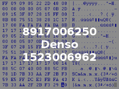 8917006250 Denso 1523006962