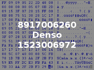 8917006260 Denso 1523006972