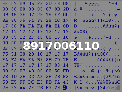 8917006110