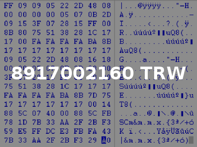 8917002160 TRW