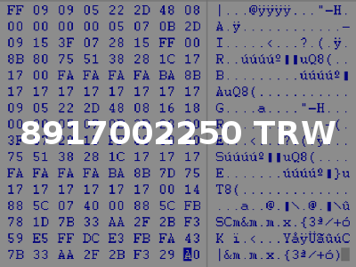 8917002250 TRW