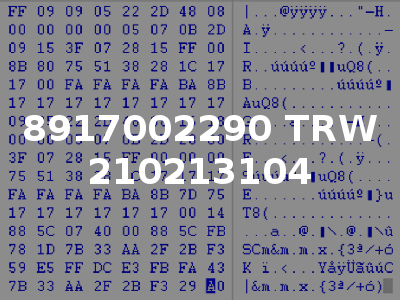 8917002290 TRW 210213104