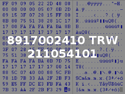 8917002410 TRW 211054101