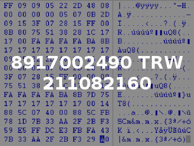 8917002490 TRW 211082160